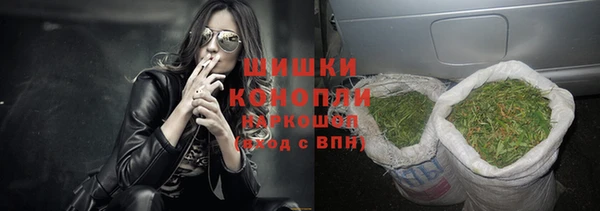 молекула духа Верхний Тагил