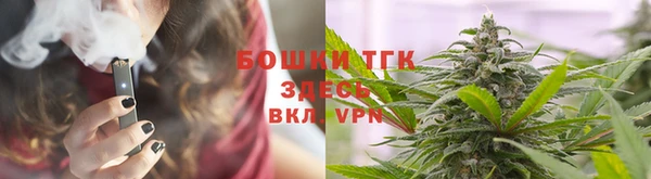 молекула духа Верхний Тагил