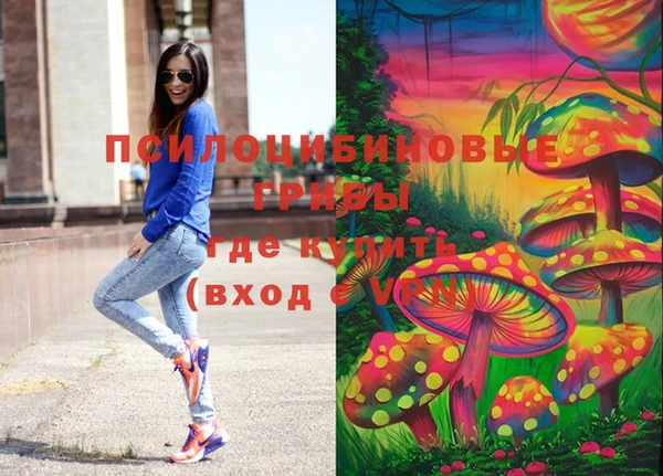 jwh Верея