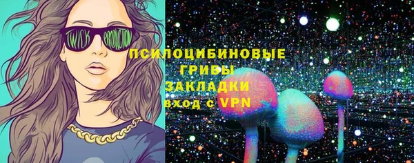 молекула духа Верхний Тагил