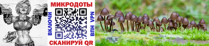 Купить закладки  Малая Вишера  Псилоцибиновые грибы прущие грибы 
